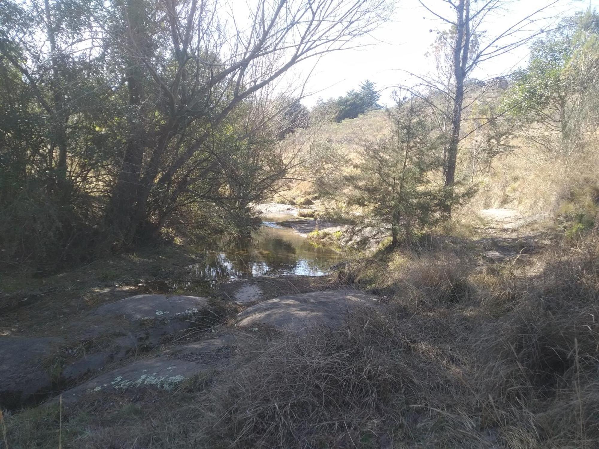 La Cabanita Tanti